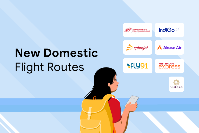 New Domestic Routes WEB NEW