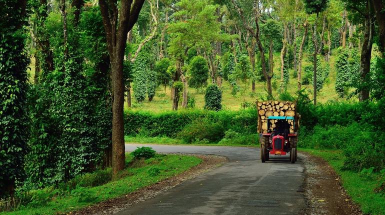 Coorg- Best places to visit in India