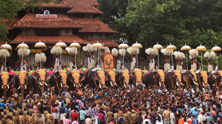 Decorated elephants being paraded in front of a crowd at the Thrissur Pooram