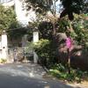 Burwood Suites Serviced Apartment in Hyderabad Burwood Suites Serviced Apartment in Hyderabad