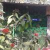 Farmers Son Campingground in Sakleshpur Farmers Son Campingground in Sakleshpur