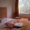 Hotel Bharmour View in brahmaur Hotel Bharmour View in brahmaur
