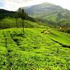 Hotel Garden Reach in kalimpong Hotel Garden Reach in kalimpong