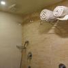 Hotel The Blossom in Vapi Hotel The Blossom in Vapi