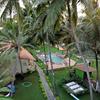 Morjim Coco Palms Beach Resort in goa Morjim Coco Palms Beach Resort in goa