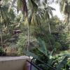 Sodders Renton Manor Resort in goa Sodders Renton Manor Resort in goa