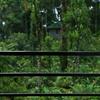 Spice Jungle Resorts in munnar Spice Jungle Resorts in munnar