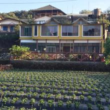 110 Hotels In Mahabaleshwar Below 1000 777 Discount Upto