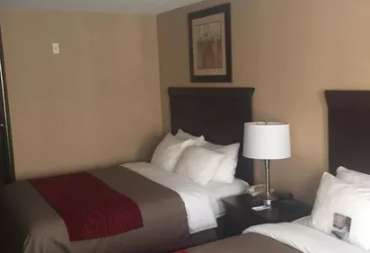Comfort Inn Suites Hotel Scarborough Reviews Photos Prices