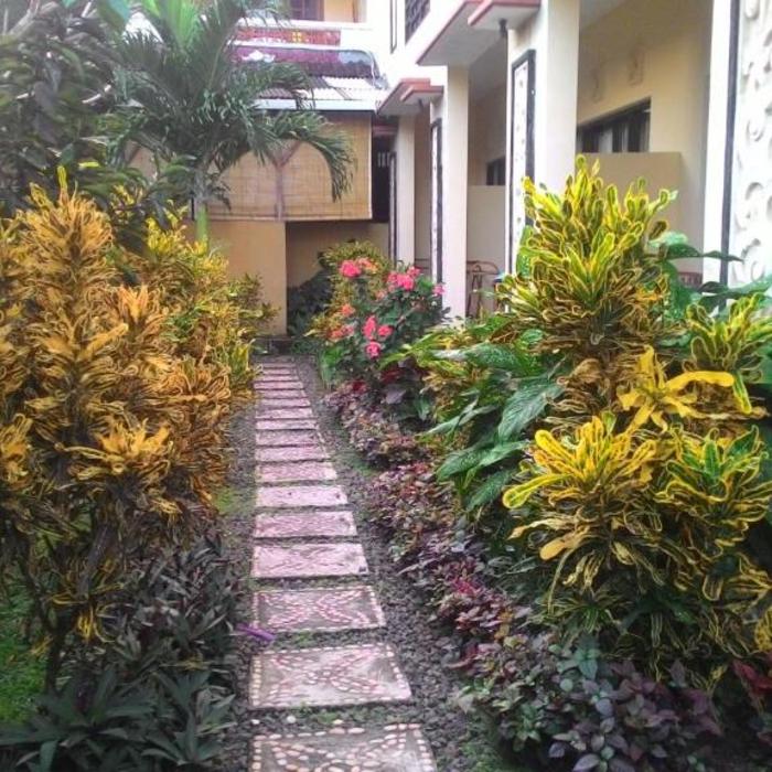 Betesda Guest House Hotel Canggu Reviews Photos Prices - 