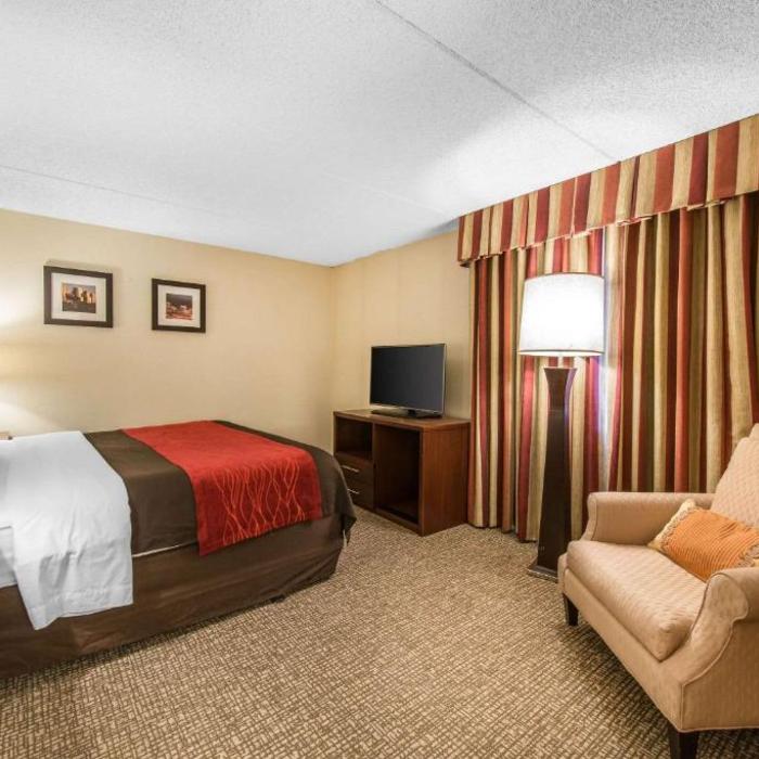 Comfort Inn Suites Hotel Denver Reviews Photos Prices Check In
