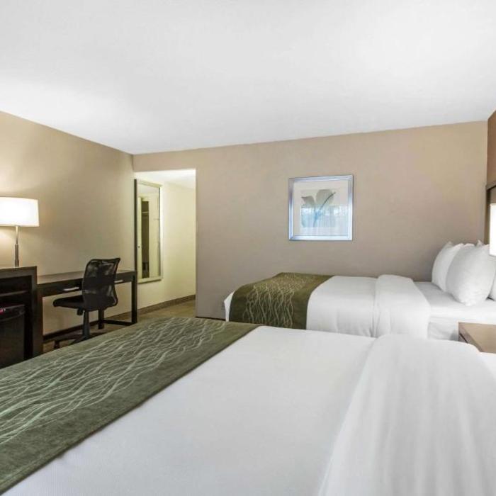 Comfort Inn Suites Zoo Seaworld Area Hotel San Diego Reviews