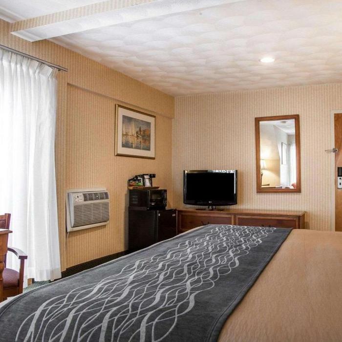 Comfort Inn At Newport Beach Hotel Middletown Reviews Photos