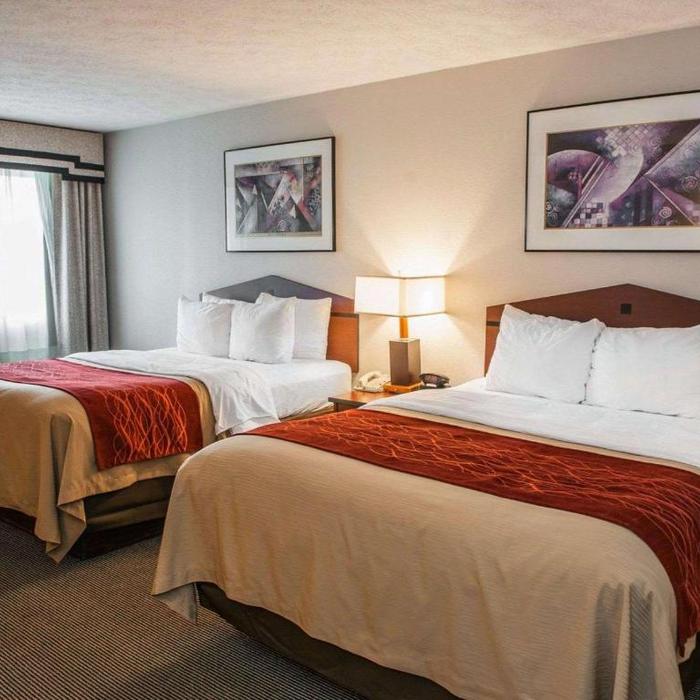 Comfort Inn Hotel Indianapolis Reviews Photos Prices Check In