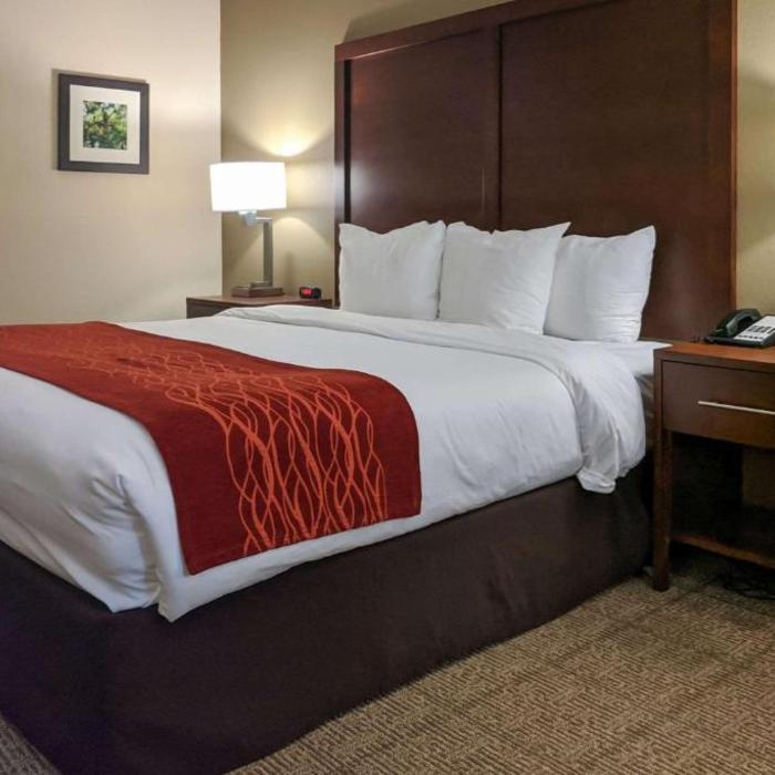 Comfort Inn New Orleans West Hotel Marrero Reviews Photos Prices