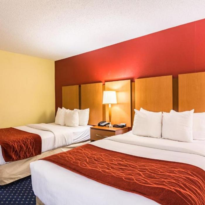 Comfort Inn Washington Dc Joint Andrews Afb Hotel Clinton Reviews