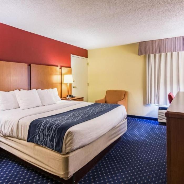 Comfort Inn Washington Dc Joint Andrews Afb Hotel Clinton Reviews