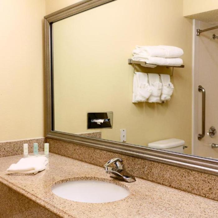 Comfort Suites Bush Intercontinental Airport Hotel Houston Reviews