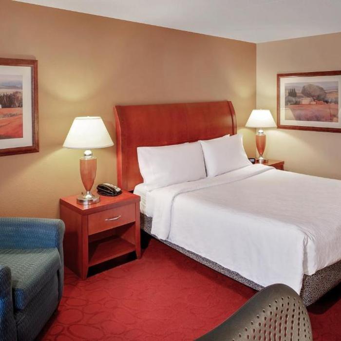 Hilton Garden Inn Chicago O Hare Airport Hotel Des Plaines Reviews