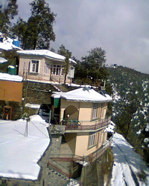 Delux Resort Chail Hotel Solan Reviews Photos Prices Check In