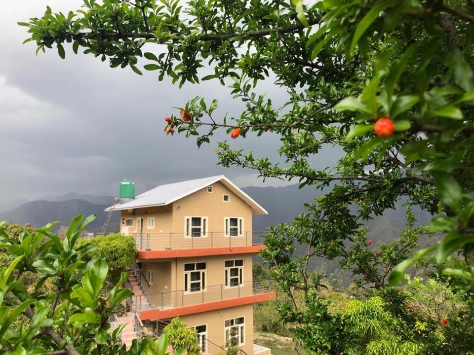 Blue Mountain Cottage Hotel Nainital Reviews Photos Prices