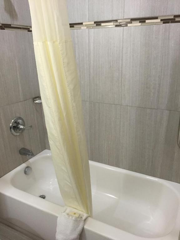 Comfort Inn Suites Hotel Fort Worth Reviews Photos Prices Check