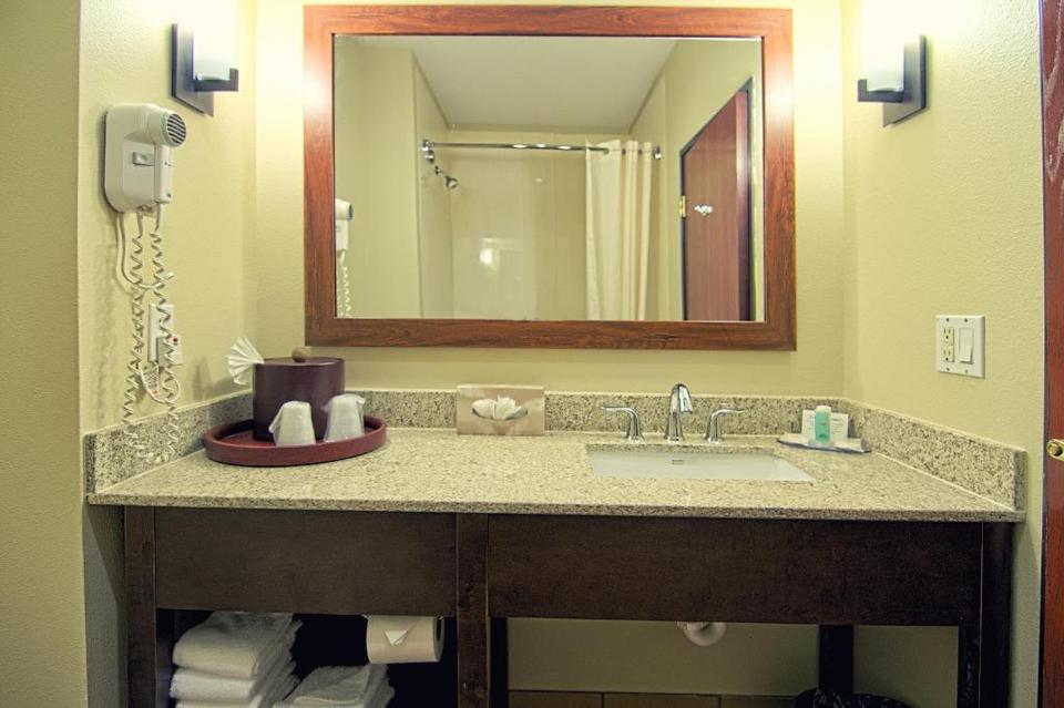 Comfort Inn Suites Love Field Market Center Hotel Dallas Reviews
