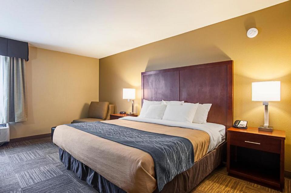 Comfort Inn Suites Hotel Seatac Reviews Photos Prices Check In