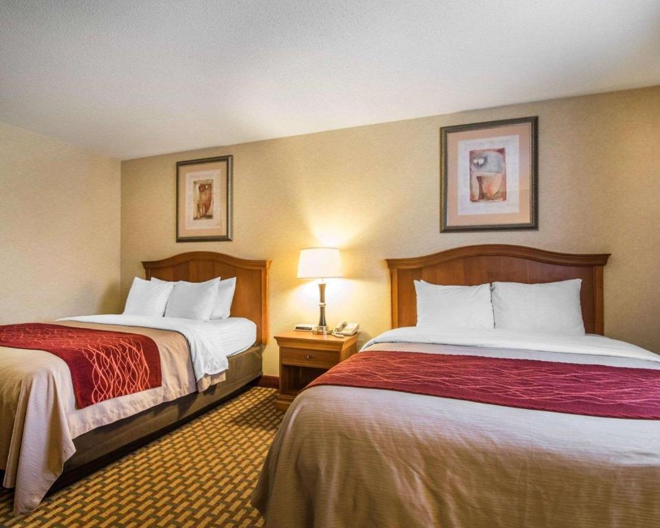 Comfort Inn Hotel Ashland Reviews Photos Prices Check In Check