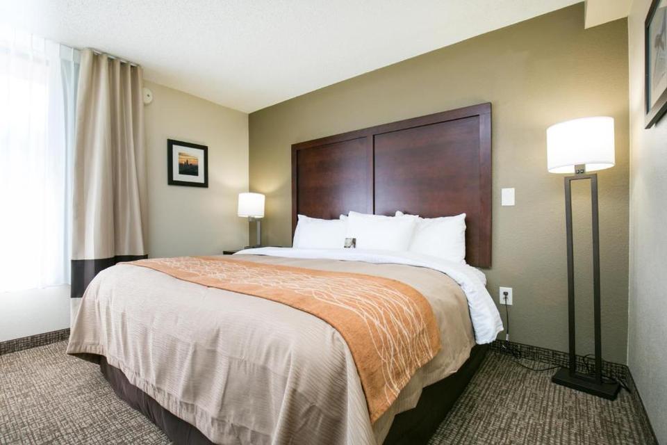 Comfort Inn Executive Park Hotel Charlotte Reviews Photos Prices