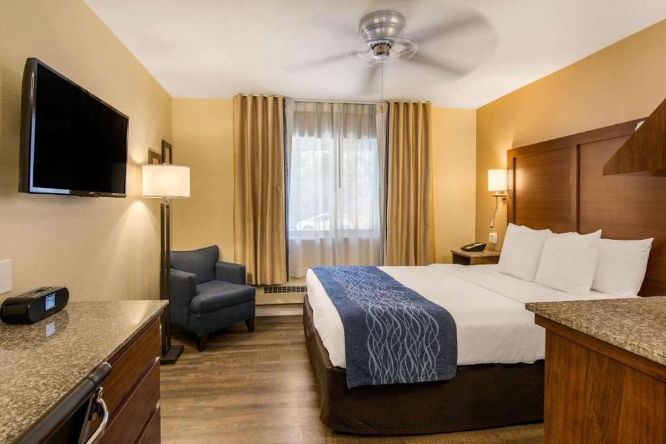 Comfort Inn Gaslamp Convention Center Hotel San Diego Reviews