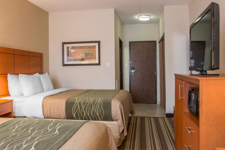 Comfort Inn Metro Airport Hotel Romulus Reviews Photos Prices