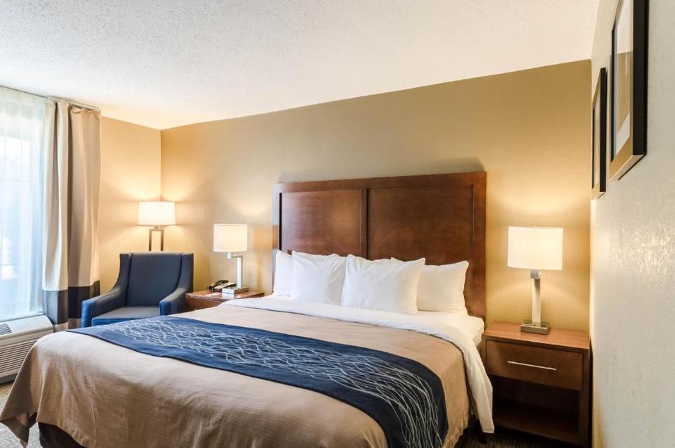 Comfort Inn Boston Hotel Randolph Reviews Photos Prices Check