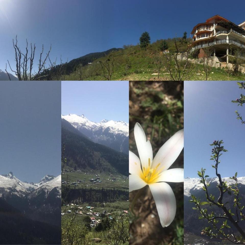 Mother Tree Cottage Hotel Manali Reviews Photos Prices Check In