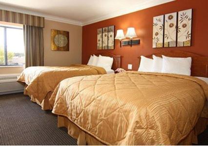 Quality Inn Suites Airport South Hotel Atlanta Reviews Photos