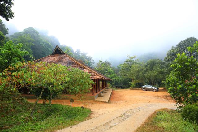 Rain Country Resort Hotel Wayanad Reviews Photos Prices - 