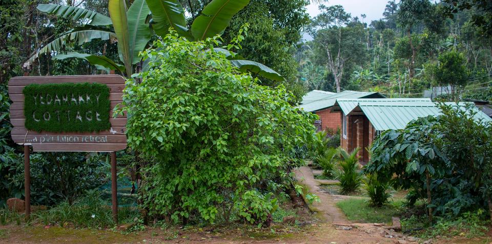 V Resorts Yedamakky Plantation Hotel Coorg Reviews Photos - 