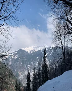 Manali Sanctuary