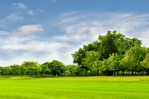 Thai Airways Flight Booking Flight Routes Thai Airways Airline