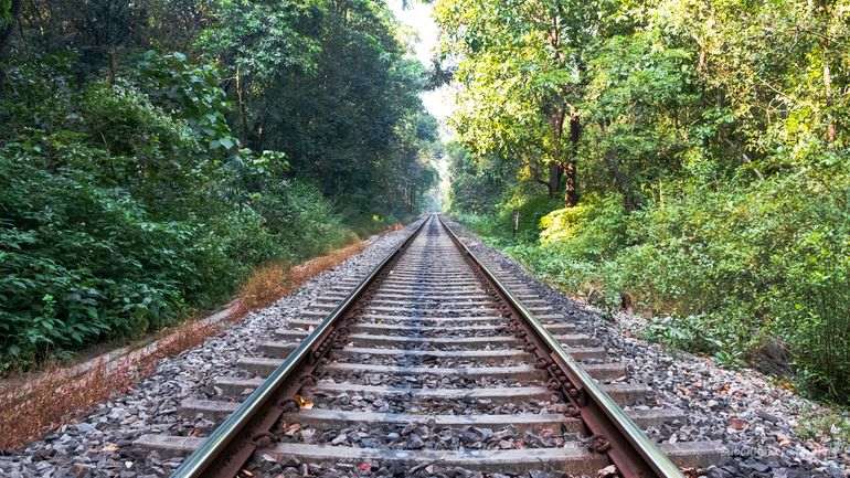Indian Railways Cancels, Regulates 30+ Trains